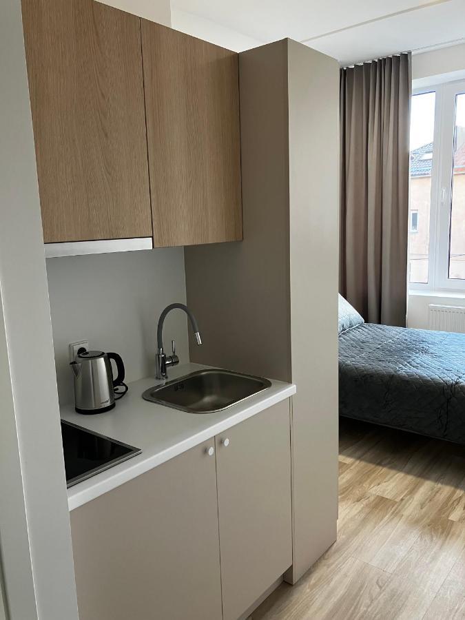 Ingos Laisves Al. Apartamentai 考纳斯 外观 照片