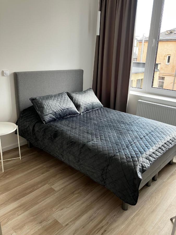 Ingos Laisves Al. Apartamentai 考纳斯 外观 照片