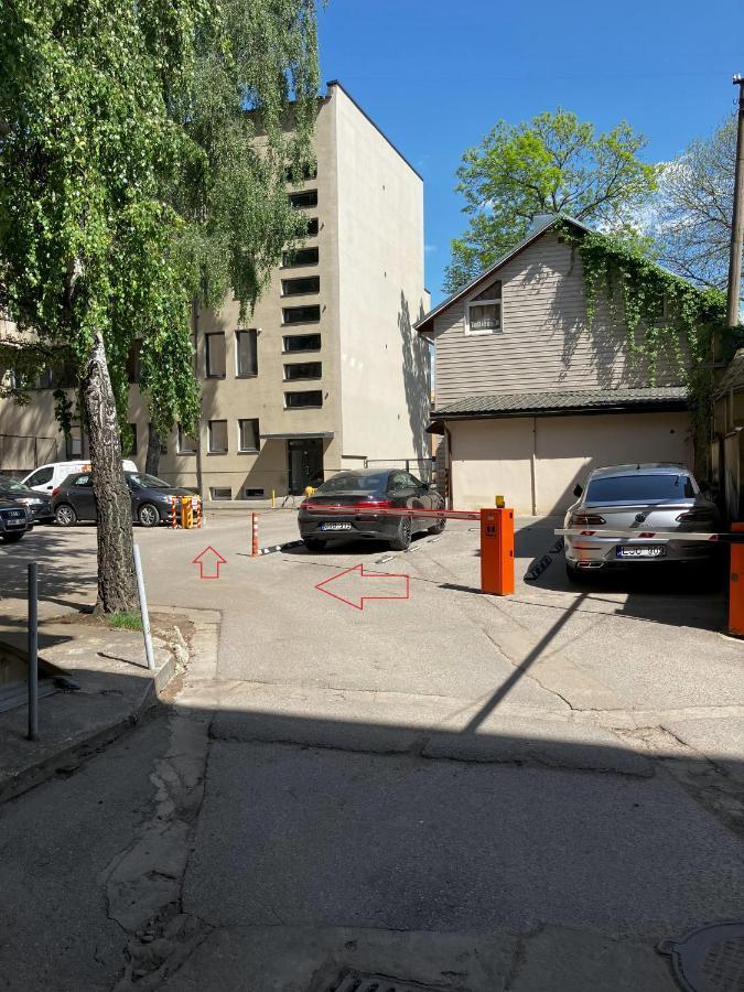 Ingos Laisves Al. Apartamentai 考纳斯 外观 照片